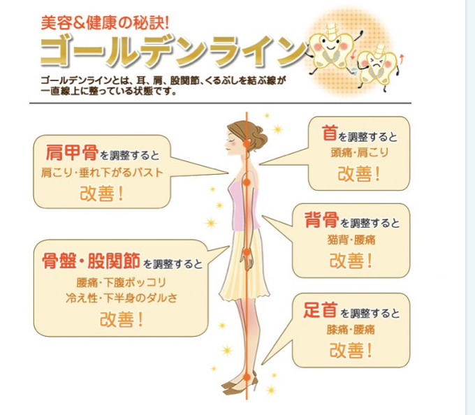 院案内