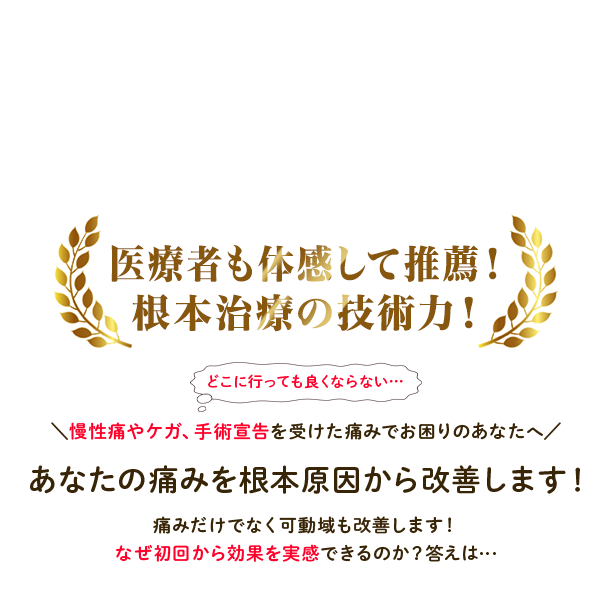 身体の不調・痛みの専門　なかむら鍼灸ＮＫ整体院