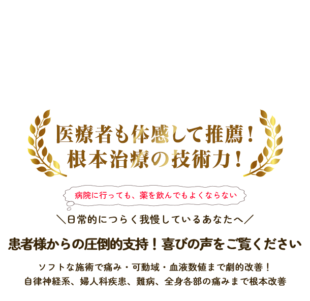 身体の不調・痛みの専門　なかむら鍼灸ＮＫ整体院